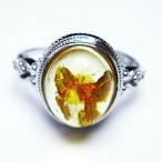 アンバー琥珀指輪t746-3178