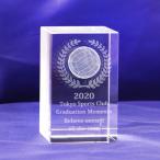 .. сувенир название inserting волейбол сувенир сообщение печать 3D волейбол crystal пресс-папье стекло блок высота 80m скульптура плата включая |NKTR-0057