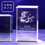 3Dɥ饴 ꥹ ֥å 60x100mm ڡѡ ǰ  ɽ ̾ å 3Dζ Ħ NKTR-0263