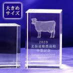  животноводство . корова . сельское хозяйство сувенир . индустрия память собрание награждение название inserting сообщение печать 3D. корова crystal пресс-папье стекло блок высота 100mm скульптура плата включая |NKTR-0263