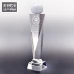 �ȥ��ե��� ���ꥹ���� ɽ���� ɽ���� ����ե���� ���ݡ��� ͥ�� �Фᥫ�åȿ徽�� (Ħ�������) ��NKTR-1004-2�����