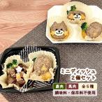 わんこのミニディッシュ２個セット 無添加・調味料不使用（ 小さいサイズ 小分け 鹿肉 馬肉 愛犬 お誕生日 お祝いディナー e1）