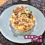 ショッピング米粉 わんこハロウィン 魔法陣ケーキ（犬用 セミオーダー 誕生日 米粉）