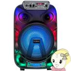 CICONIAchi KONI a все тело люминесценция LED party динамик CTGY10A проводной Mike с дистанционным пультом аудио Bluetooth LED свет 