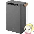 衣類乾燥除湿機 アイリスオーヤマ IJD-P20-H ライトグレー デシカント式 60Hz:2.2L/日・50Hz:2.4L/日 静音 除湿器 除湿機 コンパクト