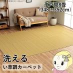 洗える カーペット ダイニング ラグ 敷詰 丈夫 日本製 国産 除菌スプレー対応 ござ アウトドア ペット ベージュ 江戸間8畳 約348×352cm