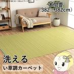 洗える カーペット ダイニング ラグ 敷詰 丈夫 日本製 国産 除菌スプレー対応 アウトドア ペット グリーン 本間8畳 約382×382cm