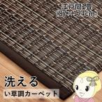 洗える カーペット ダイニング ラグ 敷詰 丈夫 日本製 国産 除菌スプレー対応 ござ アウトドア ペット ブラウン 江戸間1畳 約87×174cm