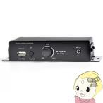 MASSIVE маленький размер цифровой стерео усилитель MA-S10D low * волновое сопротивление специальный 