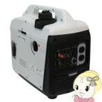 パワーテック 発電機 インバーター ガソリン 1.1kVA PG1100is