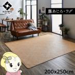 ラグカーペット自然素材イケヒコ籐敷...