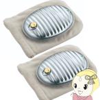 湯たんぽ Aエース 金属製(トタン製) 2.5L 袋付2個セット マルカ 2524 AW 暖房器具 冬物 2524 昔ながら キャンプ アウトドア /srm
