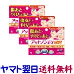  at non EX крем 15g ×3 шт. комплект царапина через, ожог. через . Kobayashi производства лекарство 