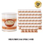 25年保存 非常食 サバイバルフーズ 洋風えび雑炊 小缶 2号缶/2.5食相当 ごはん ご飯 48缶セット 保存缶