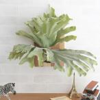フェイクグリーン壁掛けハンギングお...