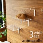 猫 賃貸 小さい穴 キャットステップ キャットウォーク 壁 DIY キャットステップ animacolle アニマコレ Catroad+ キャット ワイドステップ 3点セット