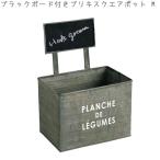 ¥Ý¥Ã¥È ¥×¥é¥ó¥¿¡¼ ¥×¥é¥ó¥·¥å ¥Í¡¼¥à¥Ý¥Ã¥È L BAGZ101315 È ¥¢¥¤¥¢¥ó ¥¬¡¼¥Ç¥Ë¥ó¥° ±à·Ý ¥¢¥ó¥Æ¥£¡¼¥¯ ¥¤¥ó¥Æ¥ê¥¢