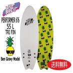 WAVE BANDIT / PERFORMER 6'6 BEN GRAVY / ウェイブバンデット パフォーマー / CATCH SURF
