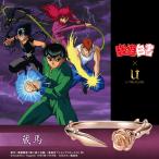 テレビアニメ『幽☆遊☆白書』 グッズ リング 指輪 薔薇棘鞭刃(ローズウィップ)モチーフリング(蔵馬) シルバー(ピンクゴールドコーティング)