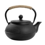 鉄瓶 鉄器 南部鉄器 急須 やかん・ケトル ih直火 対応 鉄びん 鉄の急須 やかん 茶こし付き おしゃれ 鉄分補給 ティーポット 伝統工芸