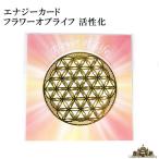 エナジーカード フラワーオブライフ 活性化