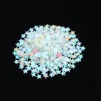 ホログラムグリッター1g 星 ホワイト アーテック Artec おすすめ 人気 使いやすい 便利 高評価 レビュー多数