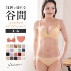 ブラジャー ショーツセット 育乳ブラ ブラジャー セット 上下セット ショーツセット 大きいサイズ グラモアブラ 育乳 谷間 補正 補整 初回返品交換0円