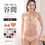 ショッピング初回 育乳ブラ ブラジャー セット 上下セット ショーツセット 大きいサイズ グラモアブラ 育乳 谷間 補正 補整 初回返品交換0円