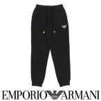 EMPORIO ARMANI エンポリオ アルマーニ ICONIC TERRY TROUSERS アイコニック テリー スウェット パンツ ボトムス ロングパンツ ズボン メンズ 男性 54095713
