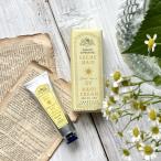 (サンタールエボーテ)(FC)UVハンドクリーム(Sサイズ)30ml ホワイトティー(Senteur et Beaute)(FrenchClassic)(フレンチクラシック)(夏季限定)