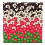 { специальная цена * ликвидация запасов } есть перевод [ почтовая доставка соответствует ] paul (pole) & Joe compact 033