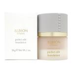  есть перевод Albion Studio Perfect Эдди to основа 010 бежевый 30g