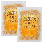 彩輪商店 キャラメル メガ盛り 個包装 国産 ミルクキャラメル 駄菓子 【老舗キャラメルメーカー監修】 きゃらめる お菓子 業務用 500g 大容量