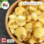 ジャイアントコーン 500g ナッツ お菓子 トウモロコシ とうもろこし おつまみ スナック ソルト 塩味 有塩 コーン 定番 メール便 送料無料 味付