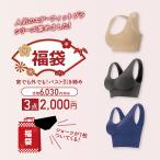 2025 福袋 レディース ブラ ブラジャー 3点 【家でも外でも!バスト引き締めインナー福袋】 ノンワイヤー バストアップ GLOBAL JAPAN グローバル・ジャパン