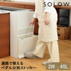 ソロウ SOLOW ゴミ箱 ごみ箱 ランドリー収納 通路で使えるペダル分別ストッカー 2段 45L RISU リス
