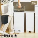 ソロウ SOLOW ゴミ箱 ごみ箱 ダストボ