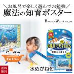 ぷかぷかゼミ お風呂ポスター 水めがねで発見 ダイビング PKZ602 観察力を鍛える 知育 教育 学習 学ぶ 話す 浴育 遊ぶ