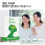DNA фолиевая кислота метаболизм ... инспекция комплект ... инспекция фолиевая кислота нехватка здоровье диагностика здравоохранение полость рта .. для анализ комплект - -se Lee z... инспекция комплект 