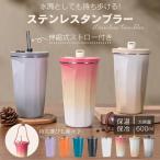 水筒 タンブラー ストロー付き ステンレスタンブラー 真空断熱 タンブラー 保温 保冷 コーヒーボトル 大容量 600ml 持ち運び