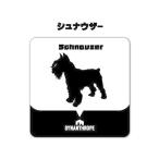 ドッグステッカー　シュナウザー SYNT