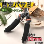剪定ばさみ 園芸用品 剪定バサミ ガ