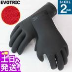 【P5倍 GWも毎日発送】EVOTRIC サーフ