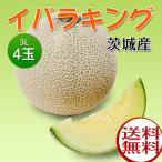 白井さんのメロン　イバラキング　4玉（青肉）【4玉（1玉3L）】6月初旬〜6月中旬頃のお届け【茨城県産】：送料無料