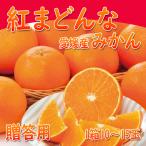 早割）紅まどんな・みかん【贈答用・1箱10玉から15玉】愛媛県産 、合計約3kg【11月1日〜11月30日の期間に限り早割対応】お歳暮・ギフト・送料無料