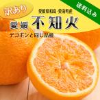 不知火3kg愛媛県産【デコポンと同じ品種】ご家庭用・訳ありL〜4Lサイズ不揃