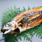 ....( большой размер )[ рефрижератор ]