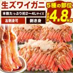 ショッピングカニ むき身 約4.8kg 高鮮度 生ズワイガニ剥き身セット(生食可) 約2〜4Lサイズ かにお刺身 生食可 ズワイガニ ずわいがに 蟹 カニ 生ズワイ かに剥き身 全国送料無料 爆買