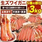 約3kg 高鮮度 大型生ズワイガニ半剥き身セット(生食可) かにお刺身 生食可 ズワイガニ ずわいがに 蟹 かに カニ 生ズワイ かに剥き身 全国送料無料 爆買