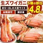 約4.8kg 高鮮度 大型生ズワイガニ剥き身セット(生食可) 約5〜8Lサイズ お刺身 生食可 ズワイガニ ずわいがに 蟹 カニ 生ズワイ かに剥き身 全国送料無料 爆買